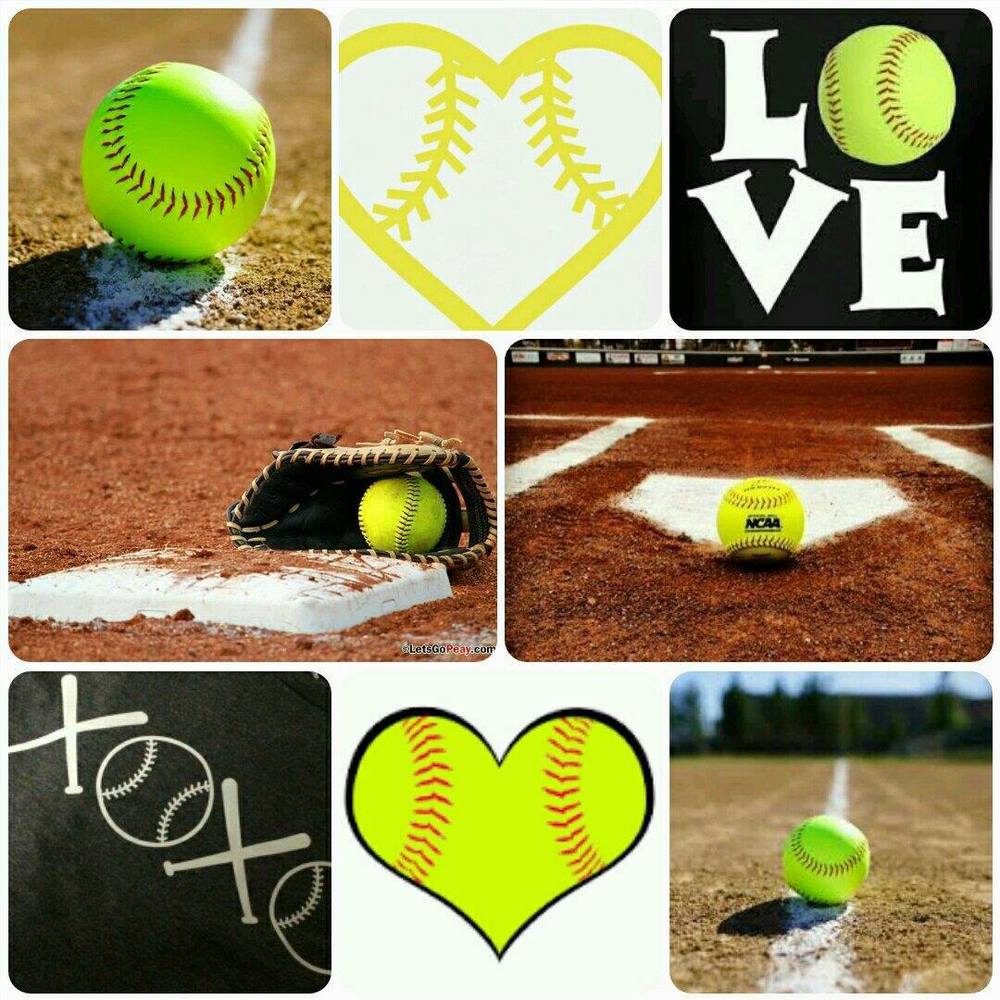 Meet your Posher, Lacy